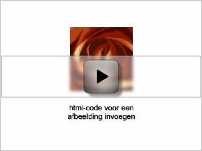 videotutorial afbeelding invoegen